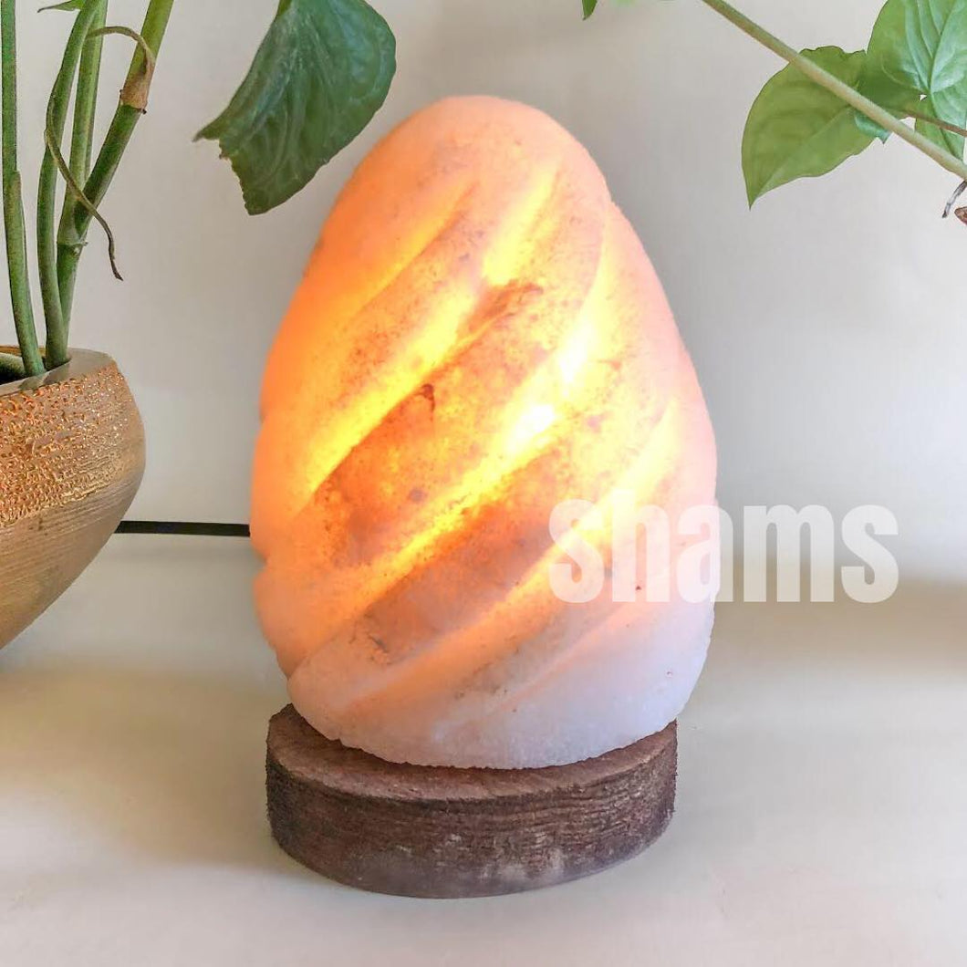 Himalayan Oval-Shaped Hand Carved Salt Lamp