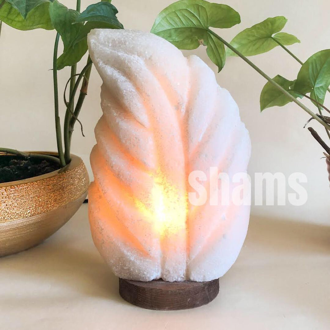 Himalayan Leaf-Shaped Hand-Carved Salt Lamp