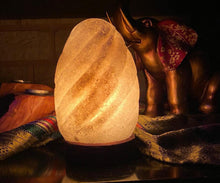 Load image into Gallery viewer, Himalayan Oval-Shaped Hand Carved Salt Lamp
