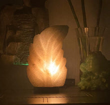 Load image into Gallery viewer, Himalayan Leaf-Shaped Hand-Carved Salt Lamp
